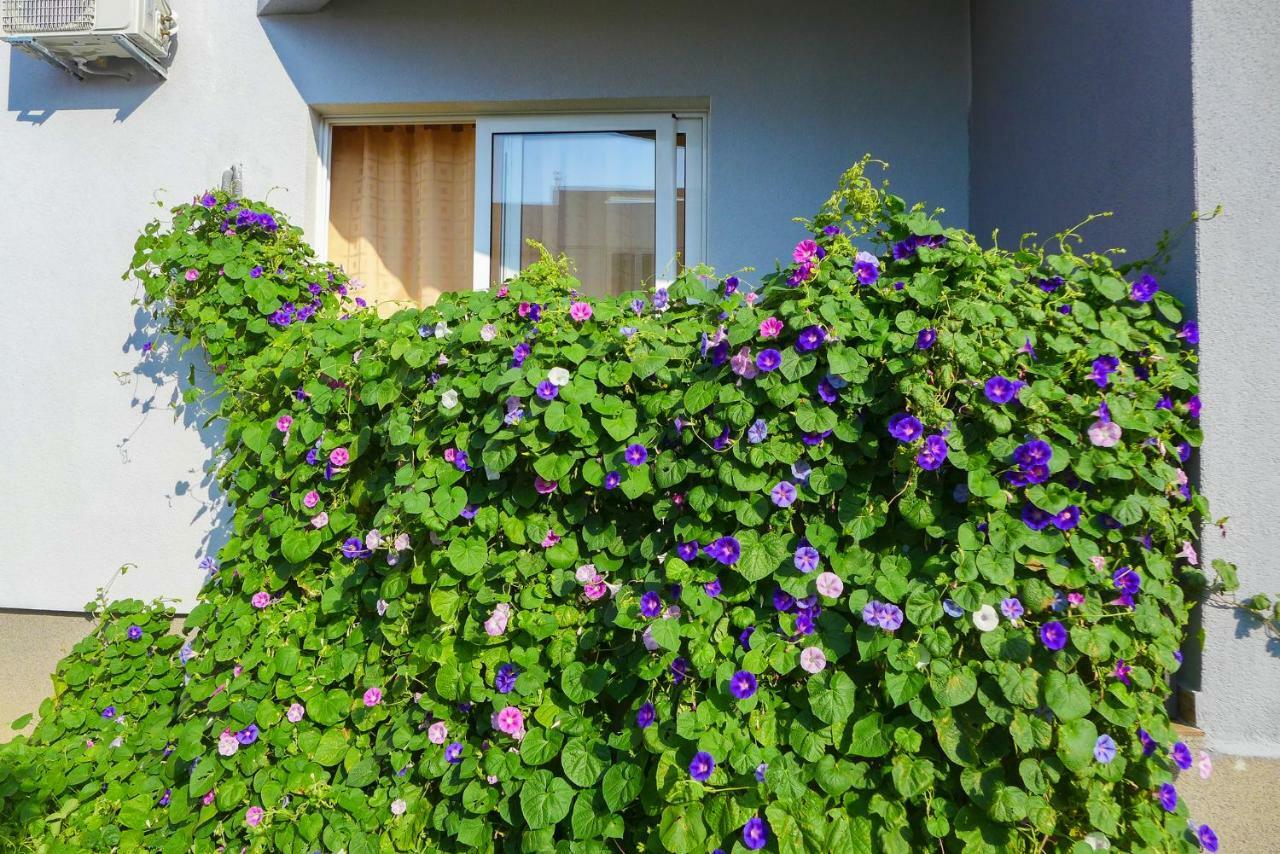 Apartmán Alise Bar Exteriér fotografie